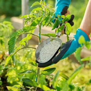 Micronutrients