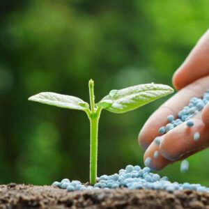 Fertilizers