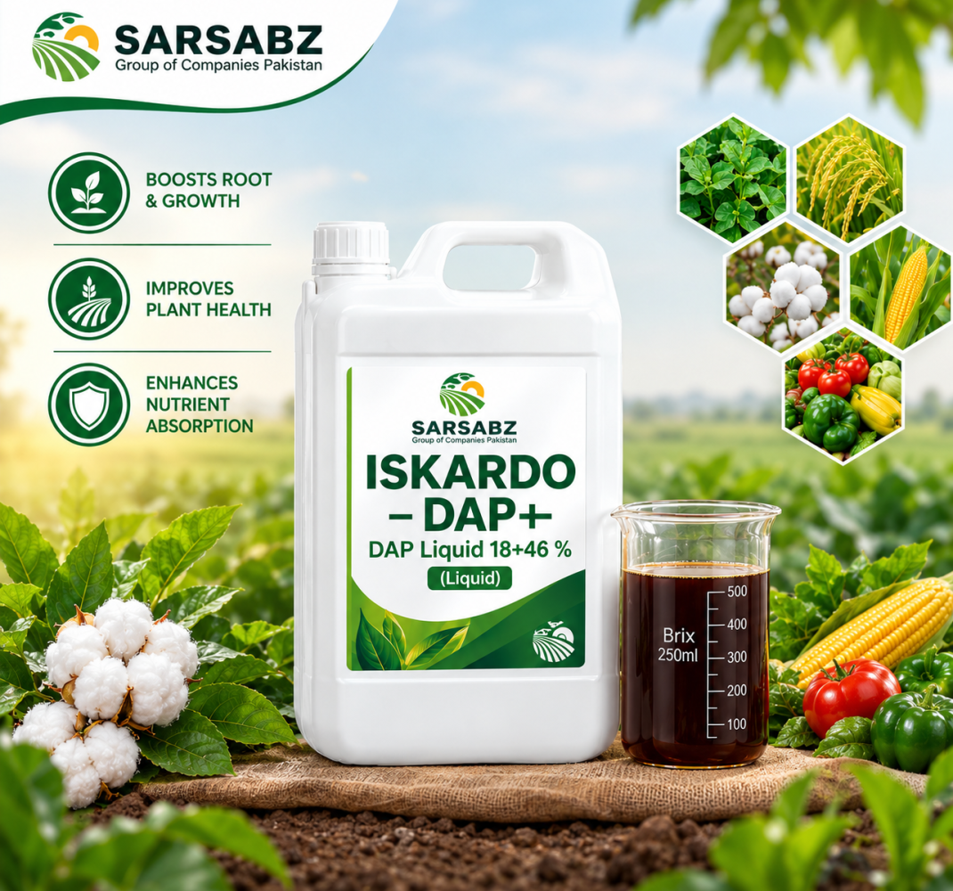 126. Sarsabz Iskardo DAP+