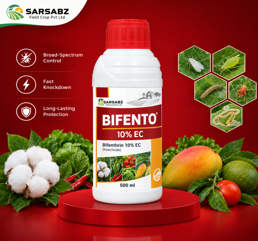 BIFENTO_product_ad_1070x980
